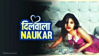 Dilwala Naukar